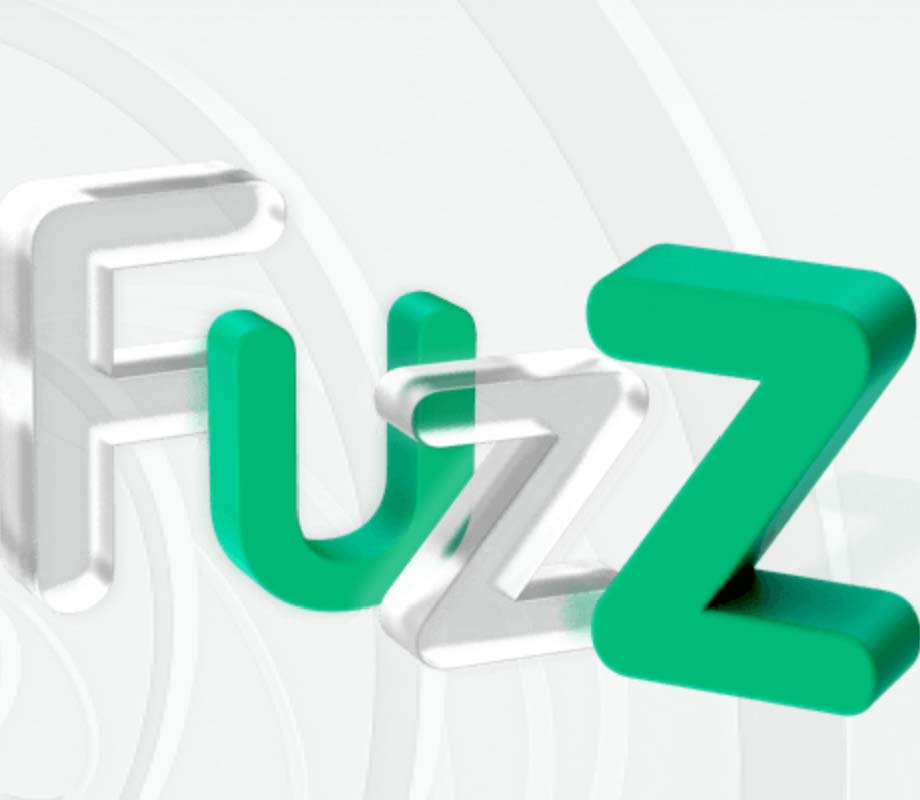 FUZZ 模糊测试解决方案